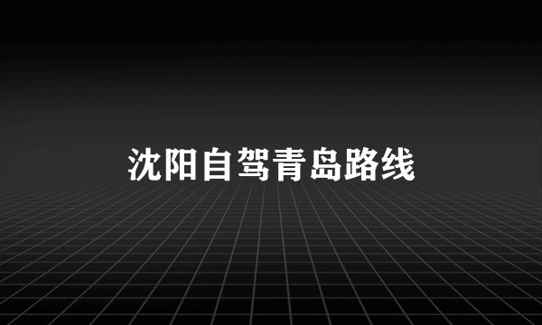 沈阳自驾青岛路线