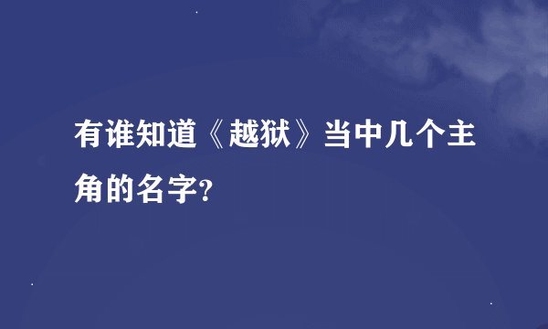 有谁知道《越狱》当中几个主角的名字?