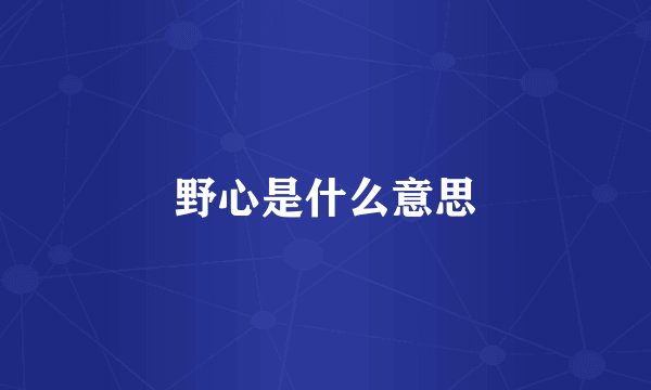 野心是什么意思