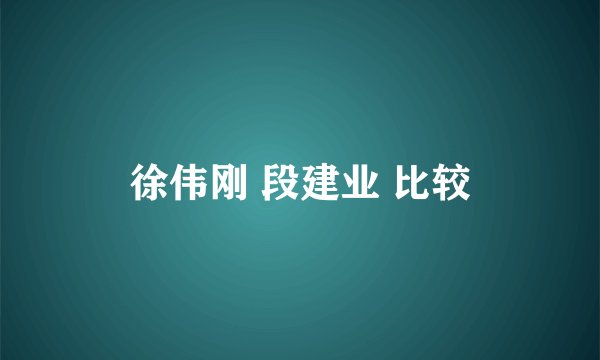 徐伟刚 段建业 比较