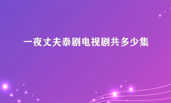一夜丈夫泰剧电视剧共多少集