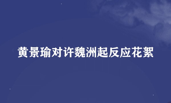 黄景瑜对许魏洲起反应花絮