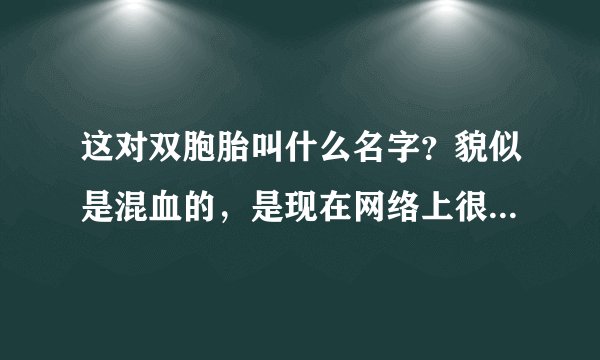 这对双胞胎叫什么名字？貌似是混血的，是现在网络上很红的韩国混血双胞胎吗？