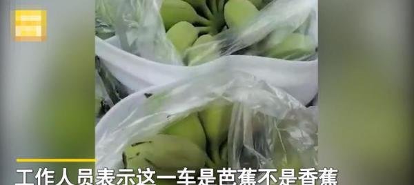 男子拉一车苹果蕉走绿通被拒 这是咋情况?