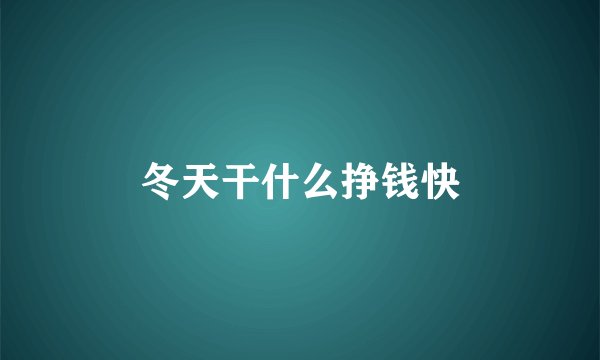 冬天干什么挣钱快
