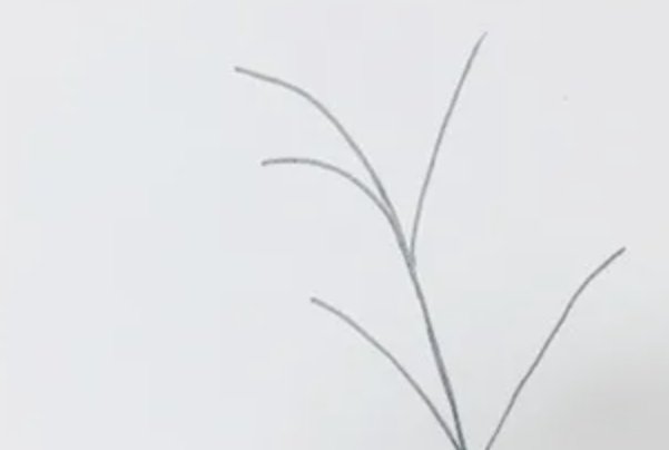 艾叶简笔画