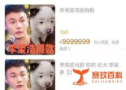 狗狗从1块身价飙到10万,背后的故事...