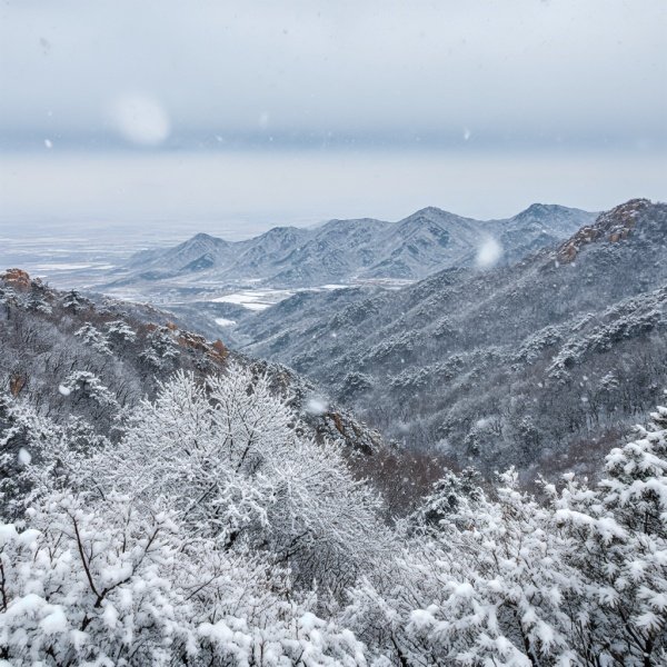 看看山东哪些地方下雪了
