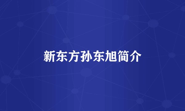新东方孙东旭简介