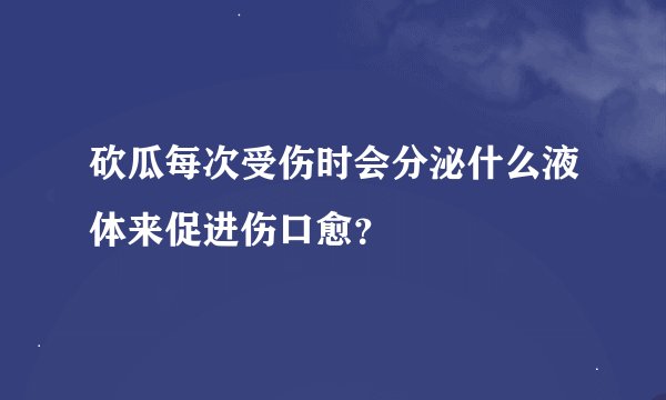 砍瓜每次受伤时会分泌什么液体来促进伤口愈？