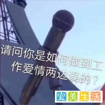普通本科毕业生找工作真的很难吗?不如试试灵鸽APP