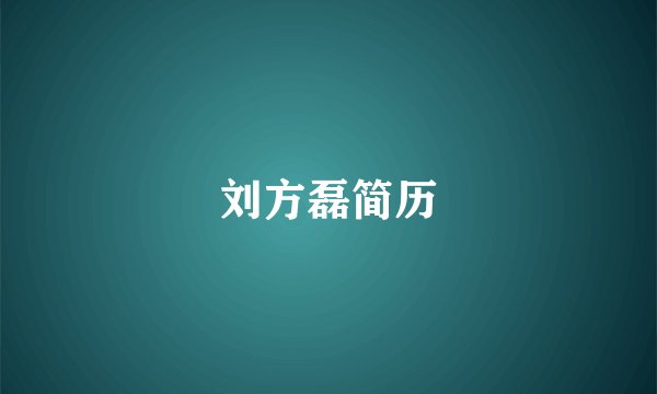 刘方磊简历