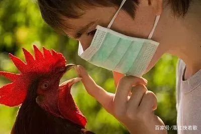 东莞报告1例H5N6病例,当事人到底是如何患上这种疾病的?