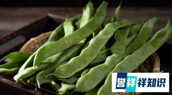 豆角为何成了北方人的夏季“噩梦”