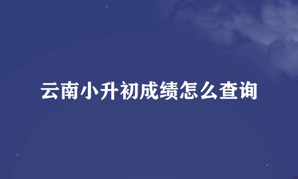 云南小升初成绩怎么查询