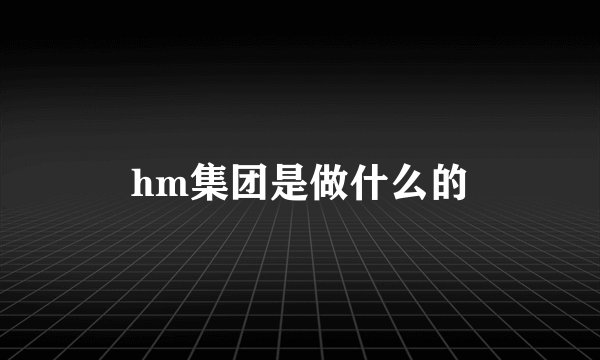 hm集团是做什么的