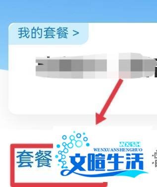 固定电话费用怎么查询