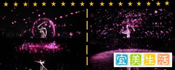 上海演出节目公司