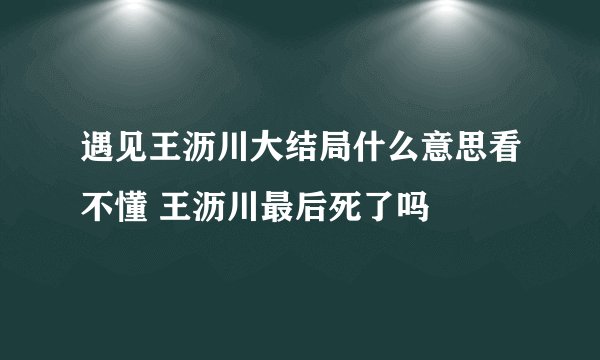 遇见王沥川大结局什么意思看不懂 王沥川最后死了吗