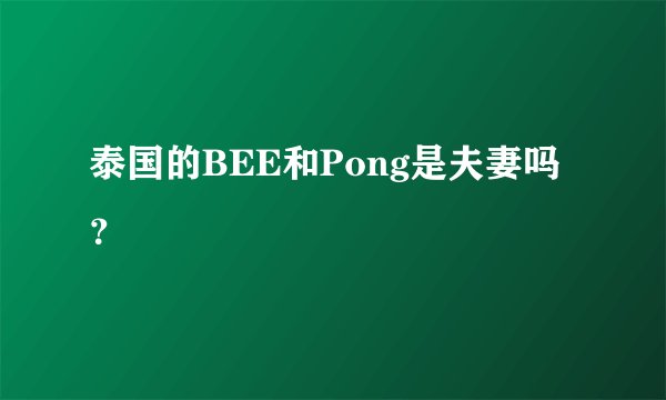 泰国的BEE和Pong是夫妻吗？