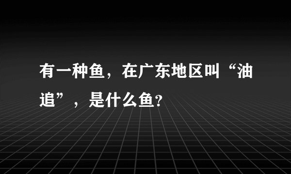 有一种鱼，在广东地区叫“油追”，是什么鱼？