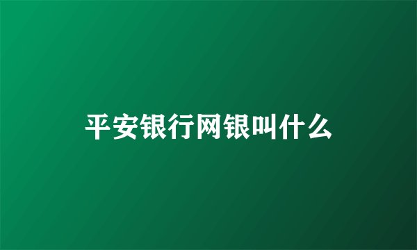 平安银行网银叫什么