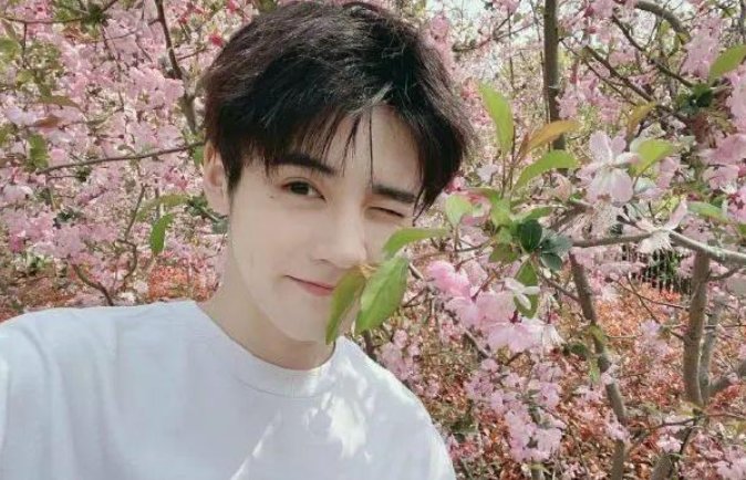 姚景元高考分数401