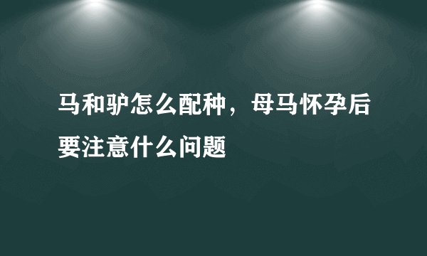 马和驴怎么配种，母马怀孕后要注意什么问题