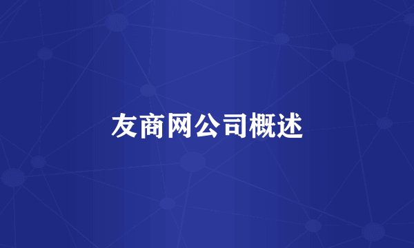 友商网公司概述