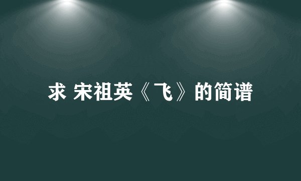 求 宋祖英《飞》的简谱