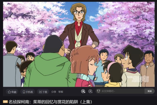 在名侦探柯南的哪一集里面阿笠博士照着少年侦探团去逛庙会在其中碰到了朱莉老？