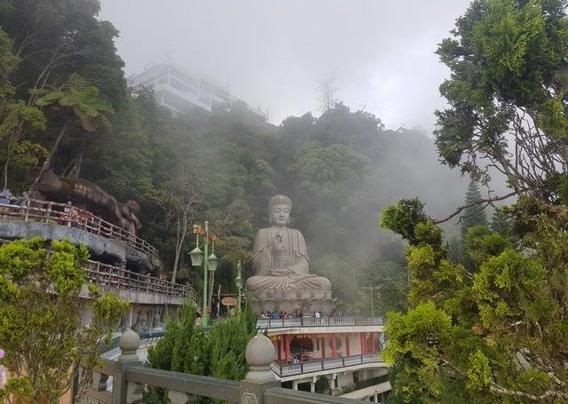 伤官伤尽的女命，贵不可言！