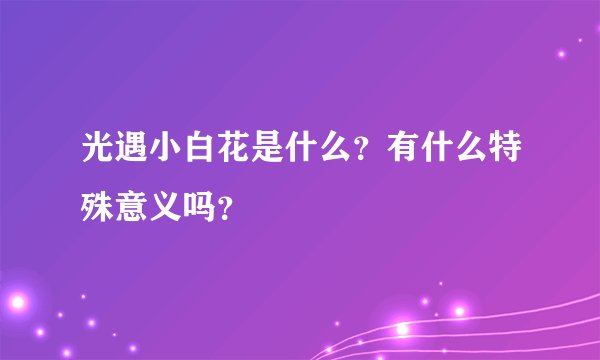 光遇小白花是什么？有什么特殊意义吗？