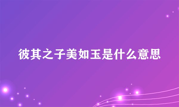 彼其之子美如玉是什么意思