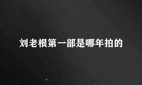 刘老根第一部是哪年拍的