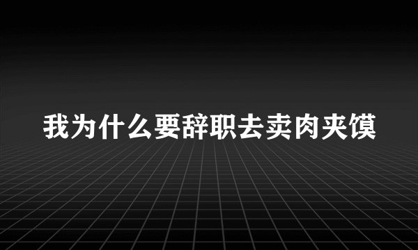 我为什么要辞职去卖肉夹馍