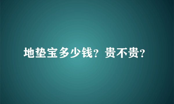 地垫宝多少钱？贵不贵？