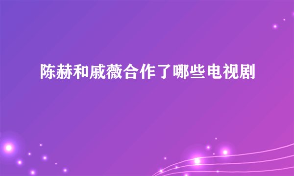 陈赫和戚薇合作了哪些电视剧