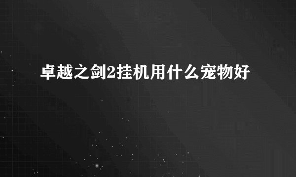 卓越之剑2挂机用什么宠物好