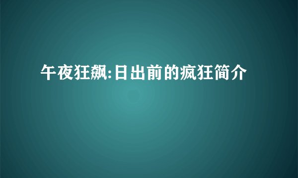 午夜狂飙:日出前的疯狂简介