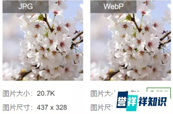 悲报, GIF 之父因新冠去世
