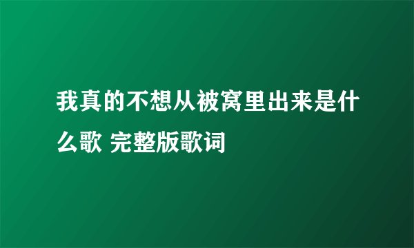 我真的不想从被窝里出来是什么歌 完整版歌词