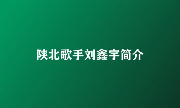 陕北歌手刘鑫宇简介