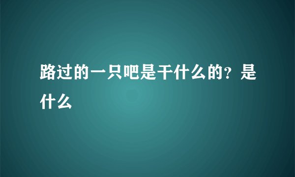 路过的一只吧是干什么的？是什么