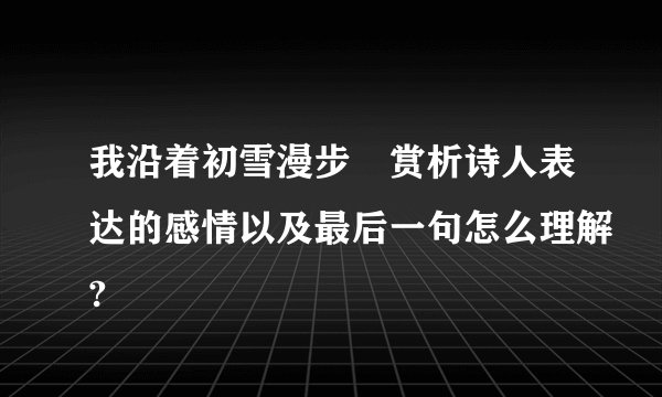 我沿着初雪漫步 赏析诗人表达的感情以及最后一句怎么理解?