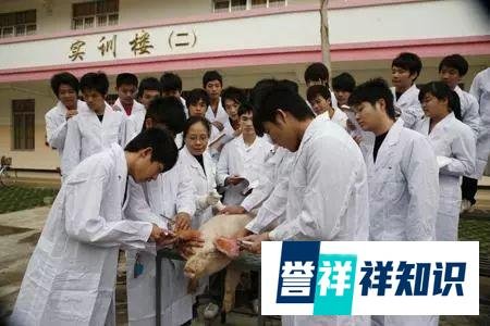 让座院士走红!其实20年前他已经火了一把