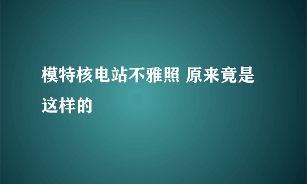 模特核电站不雅照 原来竟是这样的