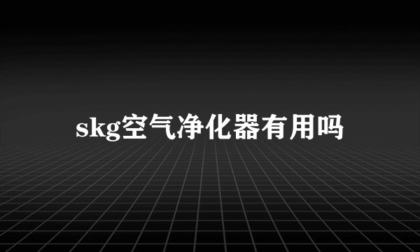 skg空气净化器有用吗