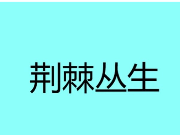 荆棘丛生是什么意思?