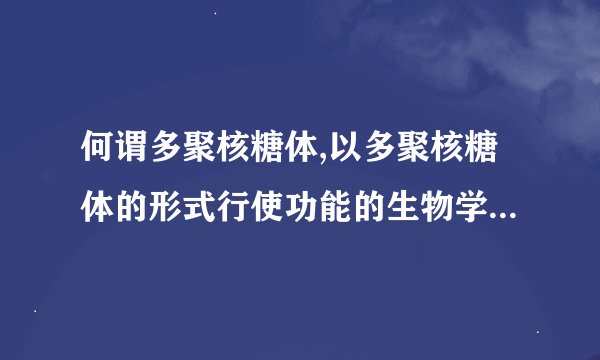 何谓多聚核糖体,以多聚核糖体的形式行使功能的生物学意义是什么_...